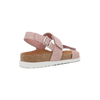 Pink Lizard