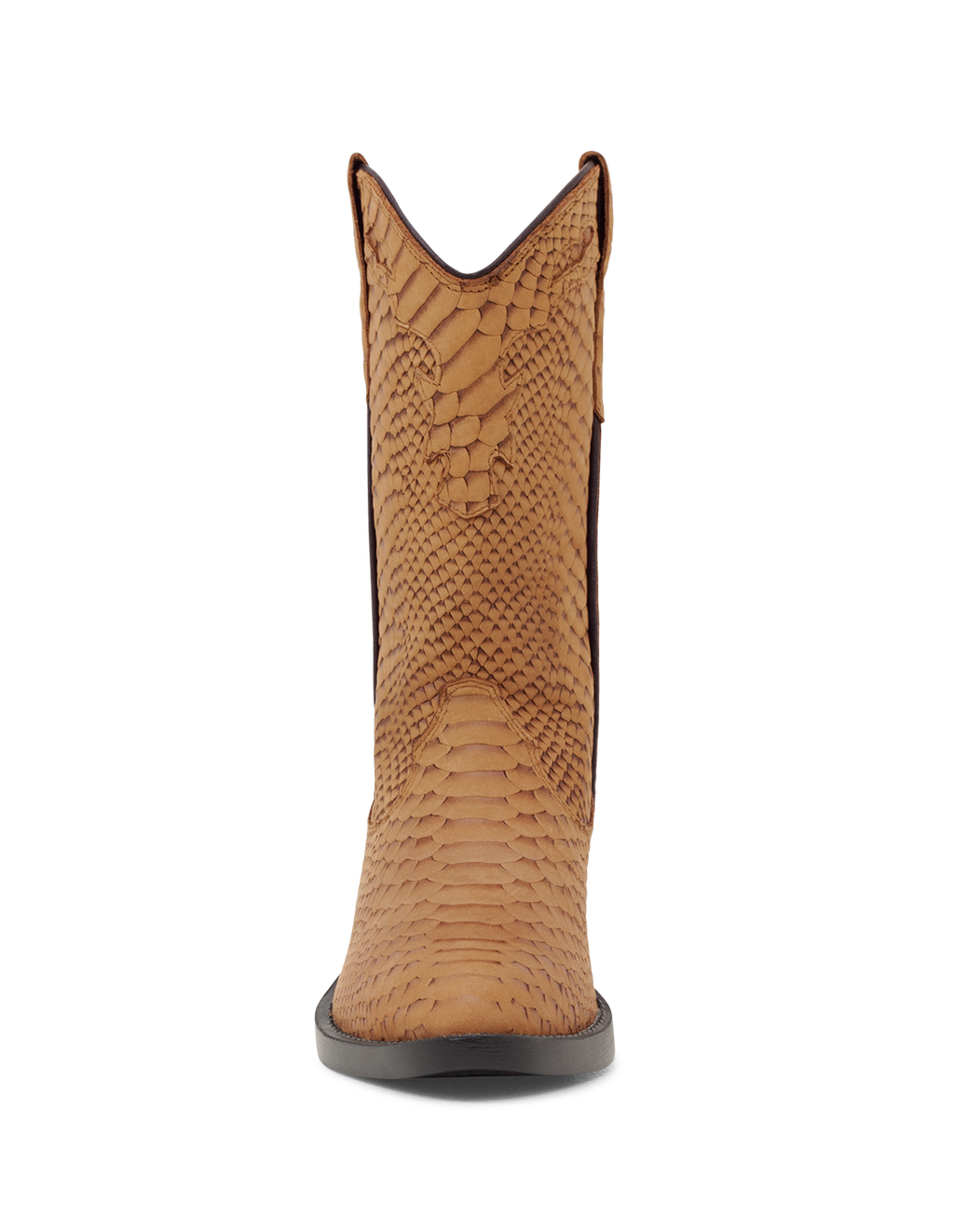 Tan Cobra