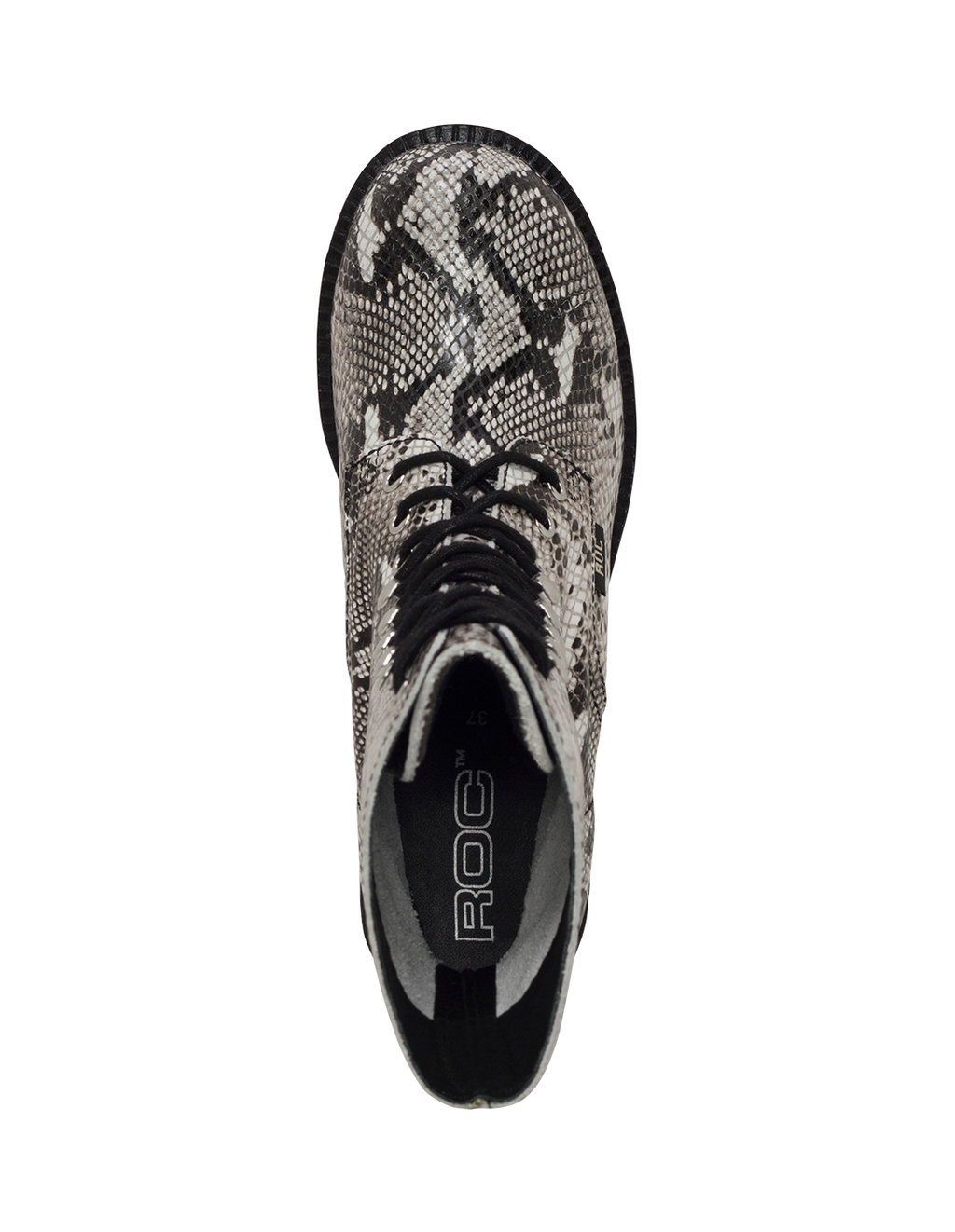 White/Black Snake