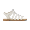 White Lizard