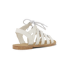 White Lizard